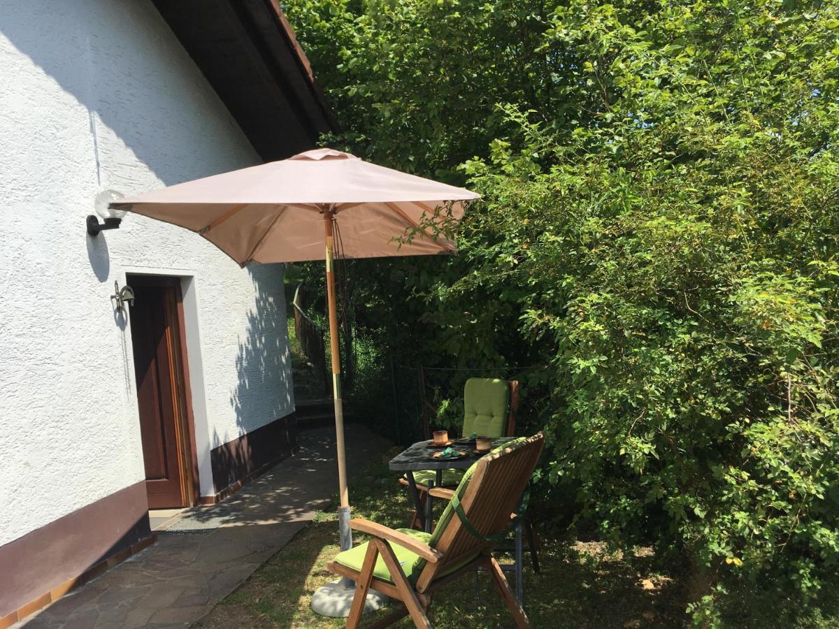 Burgruine Schoellnstein Iggensbach Zewnętrze zdjęcie