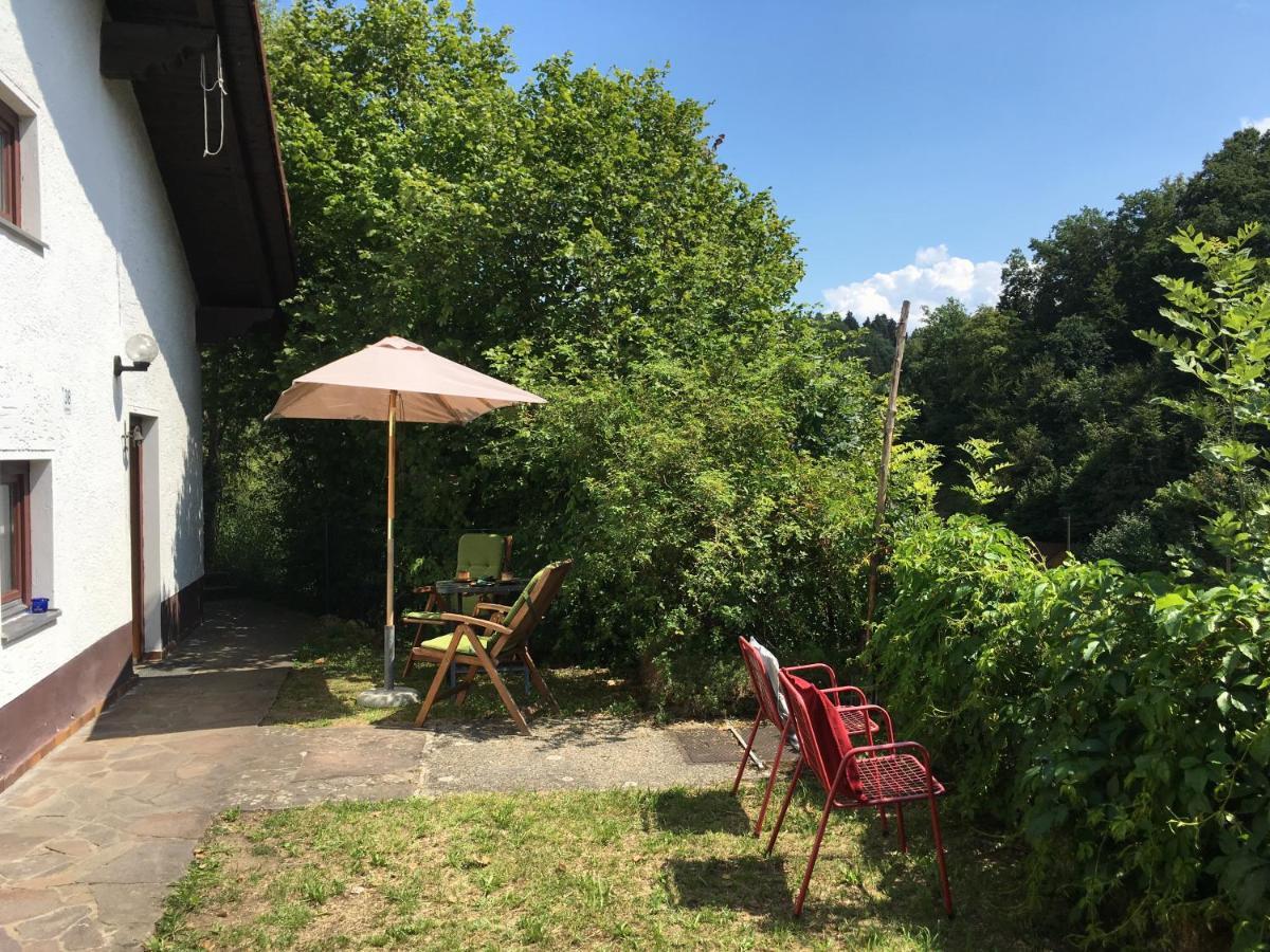 Burgruine Schoellnstein Iggensbach Zewnętrze zdjęcie