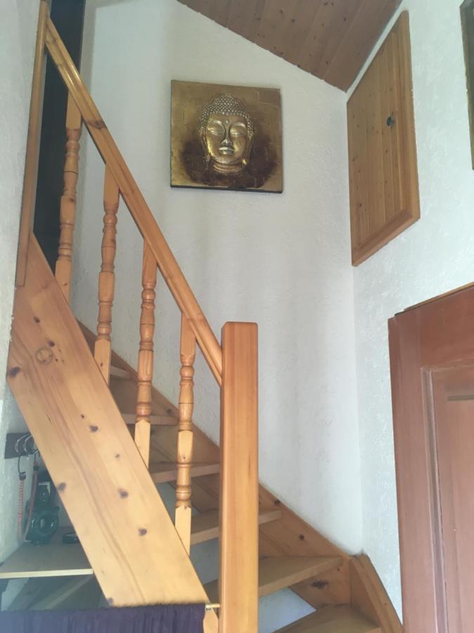 Burgruine Schoellnstein Iggensbach Zewnętrze zdjęcie